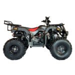 TAO MOTOR BULL 200 - Imagen 3