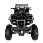 TAO MOTOR BULL 200 - Imagen 2